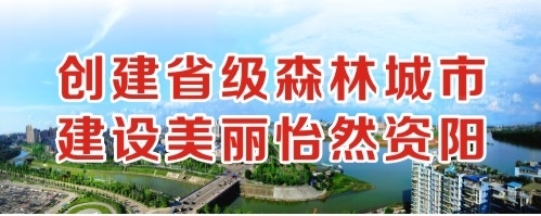 欧美插逼逼创建省级森林城市 建设美丽怡然资阳